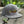 Load image into Gallery viewer, Brook Trout - Corduroy Hat