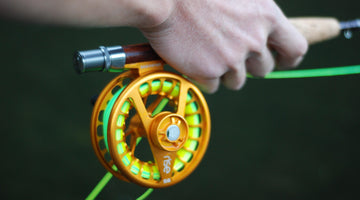 A guide for the beginner.  Part 1. Rods. Reels. Fly Lines.