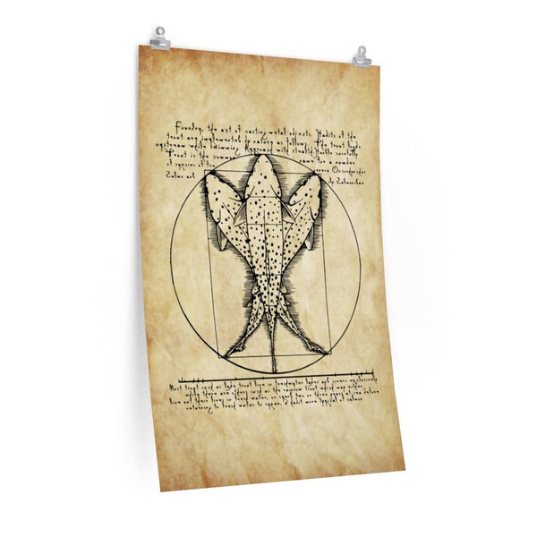 Vitruvian Trout -  Fly Fishing Art Print